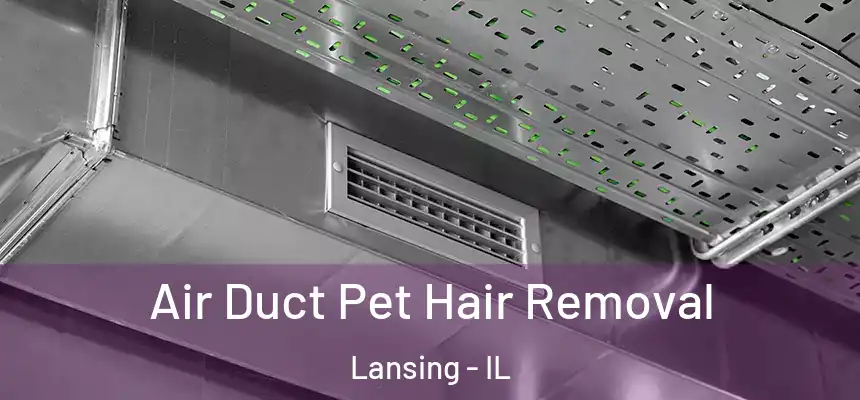 Air Duct Pet Hair Removal Lansing - IL