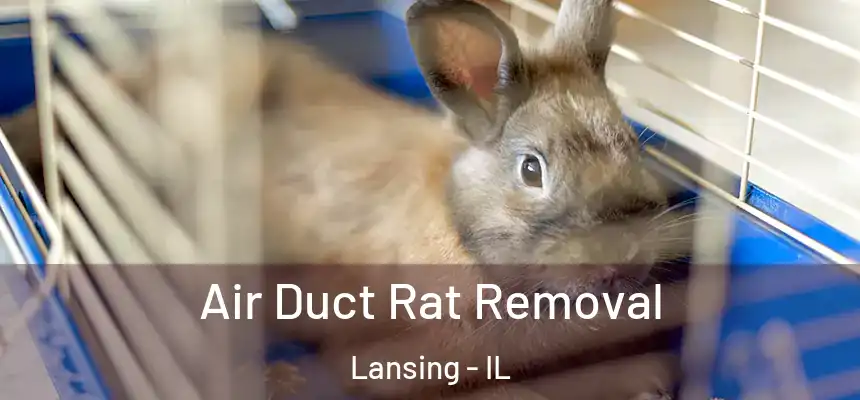  Air Duct Rat Removal Lansing - IL