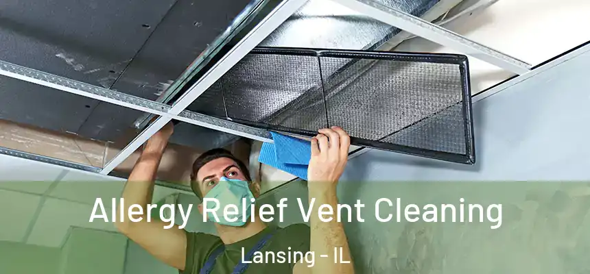  Allergy Relief Vent Cleaning Lansing - IL