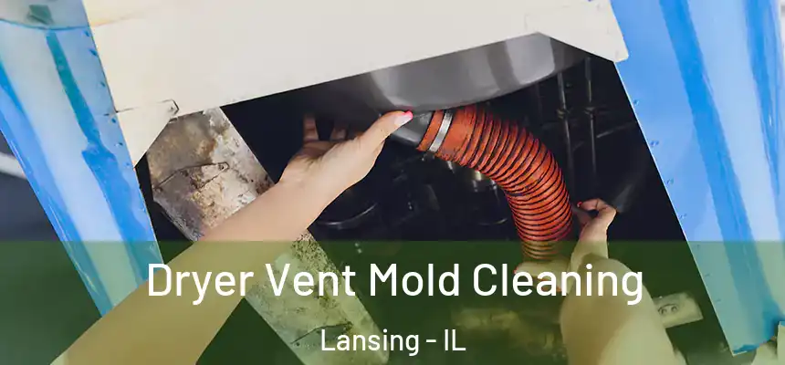  Dryer Vent Mold Cleaning Lansing - IL