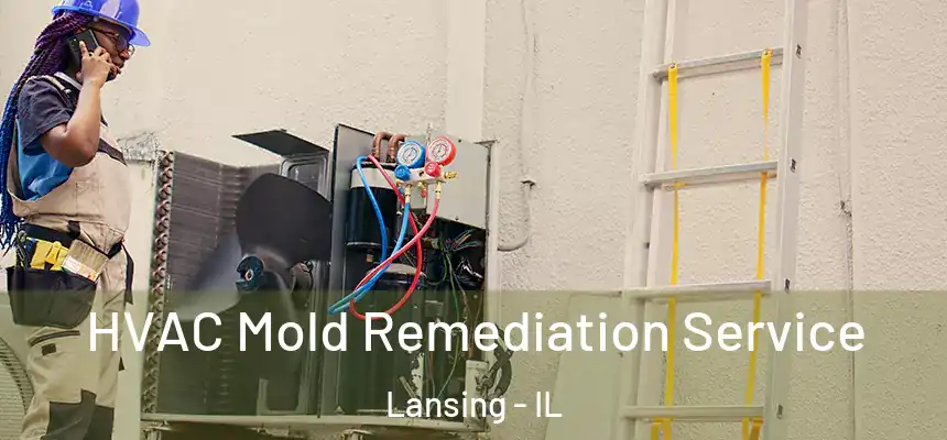  HVAC Mold Remediation Service Lansing - IL