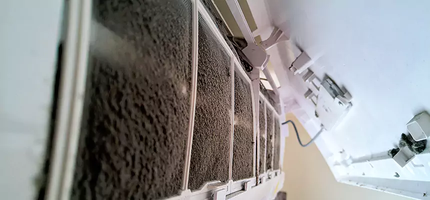 Preventive Air Duct Bacteria Removal in Lansing