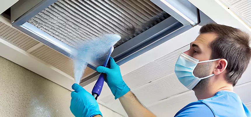 Proactive Dryer Vent & Auxiliary Duct Pollen Cleanup in Lansing, IL