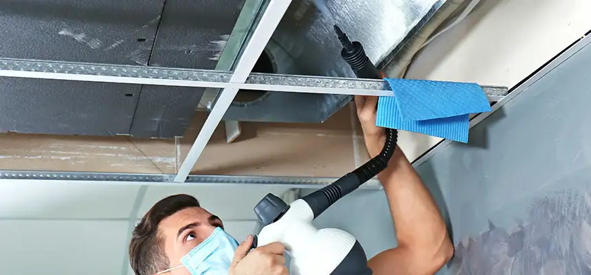 Our Air Duct Rodent Removal Services in Lansing, IL