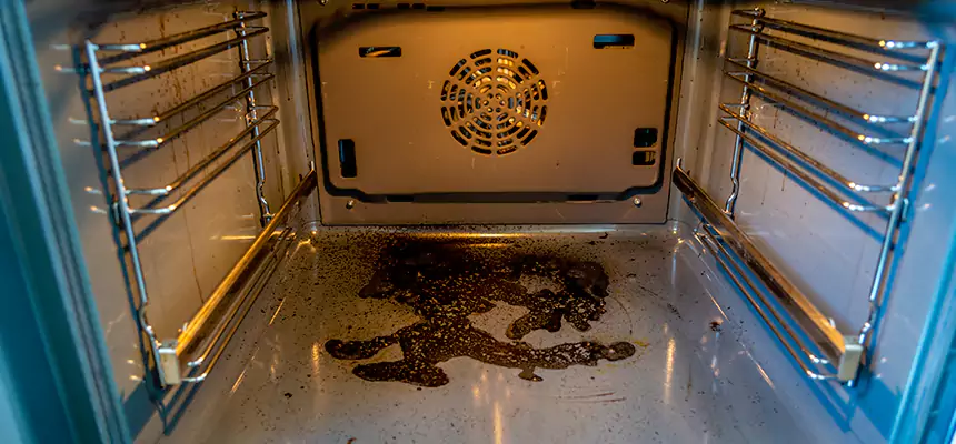 Our Dryer Vent Mold Cleaning Services in Lansing, IL