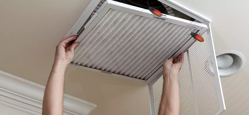 Our Insect Removal from Air Ducts Services in Lansing, IL