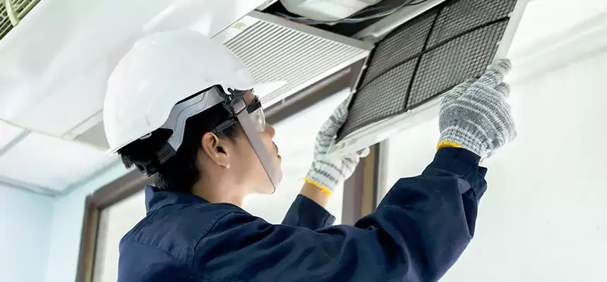 Our Mold & Mildew Removal from Air Ducts Services in Lansing, IL