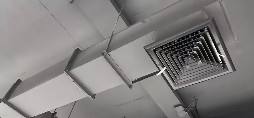 Our Rodent Droppings In Vents Services in Lansing, IL