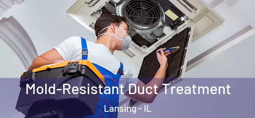  Mold-Resistant Duct Treatment Lansing - IL