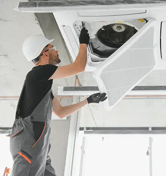 About Air Duct Rodent Removal in Lansing, IL