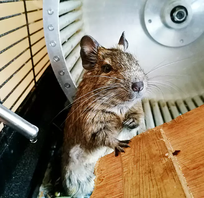 Why Homeowners & Businesses Trust Us Lansing, IL?