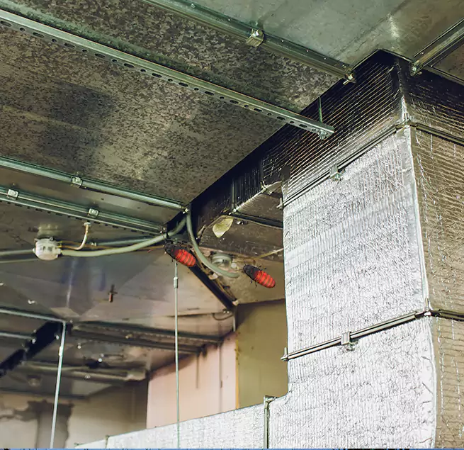 Why Homeowners & Businesses Trust Us Lansing, IL?